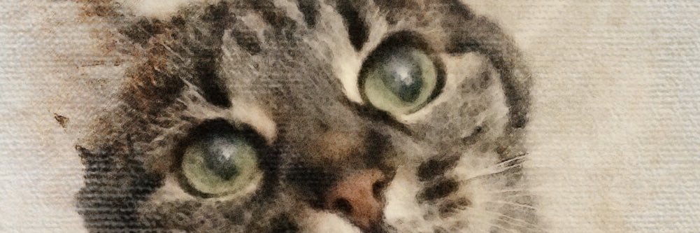 Beatrocito's profile banner image