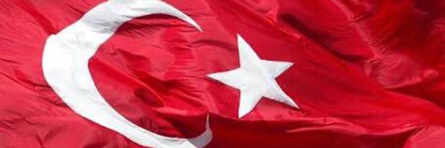 Prof.Dr.Halis AYGÜN🇹🇷 banner