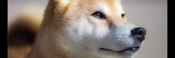 Profplum1301 Profile Banner