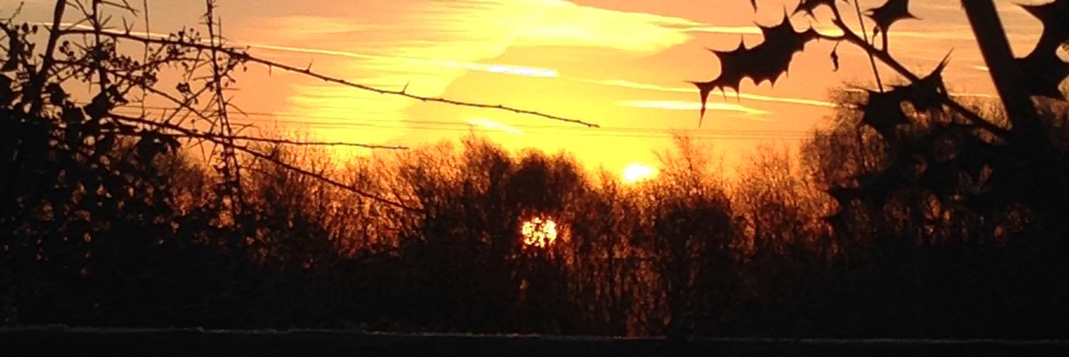 Robbo29885's profile banner image