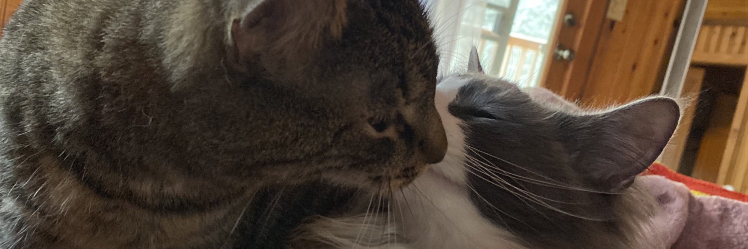 pheobemarie's profile banner image