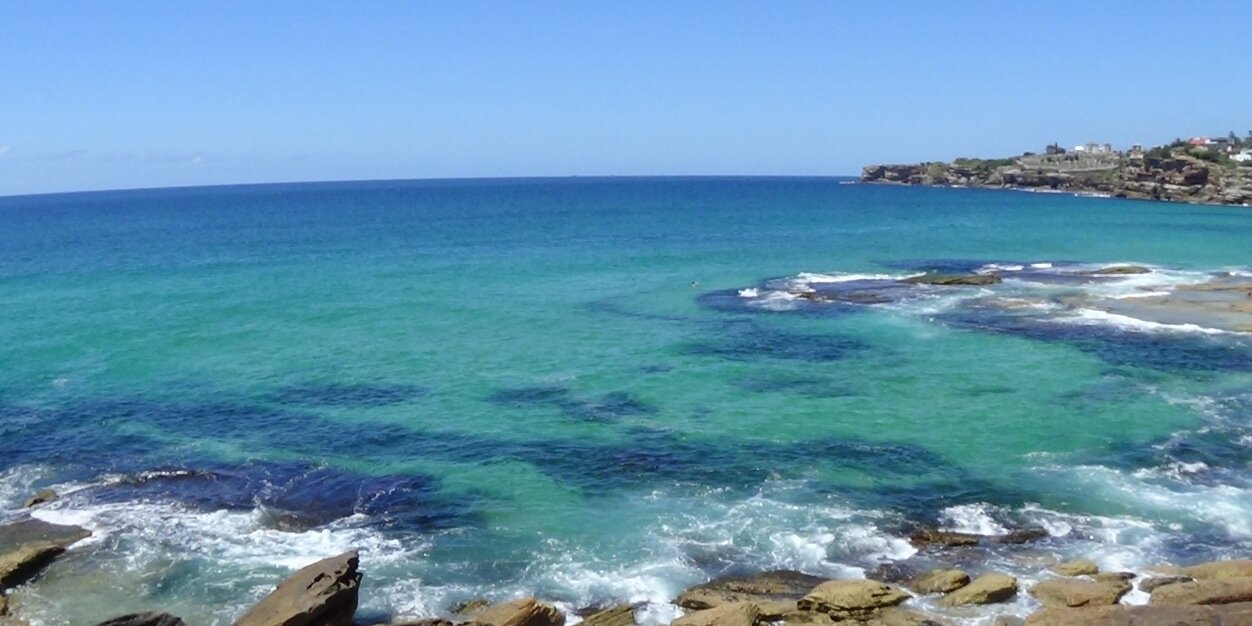 Lachlan Penfold banner