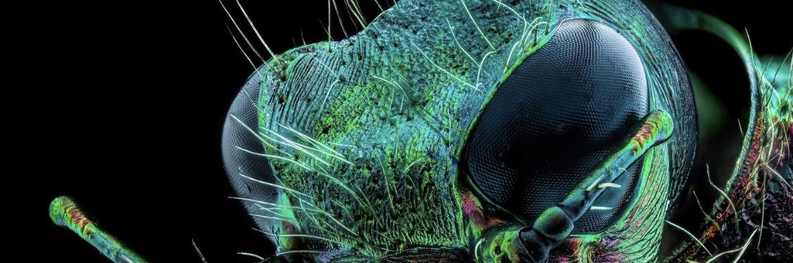 stross91's profile banner image