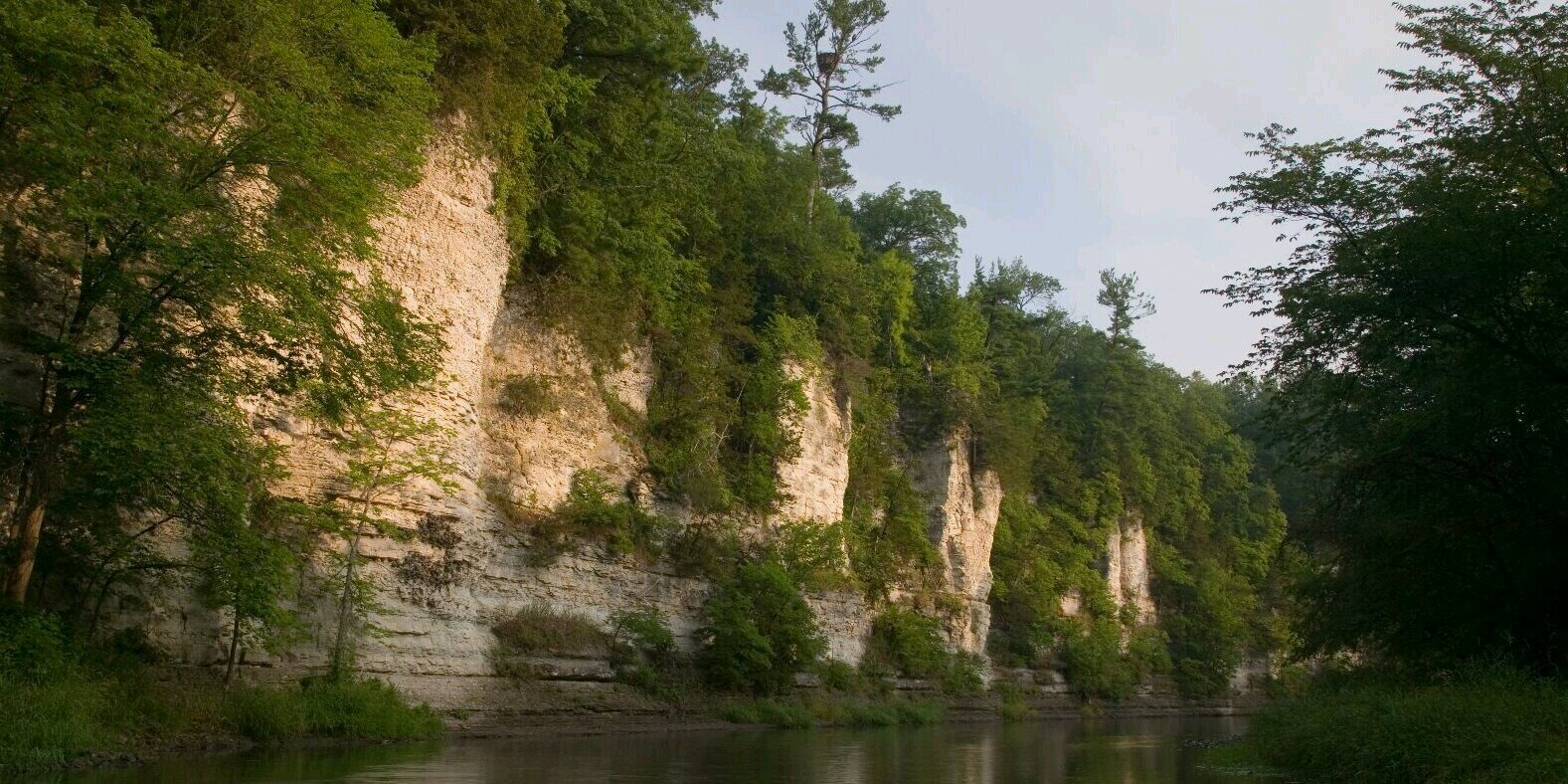taylorjonasher's profile banner image