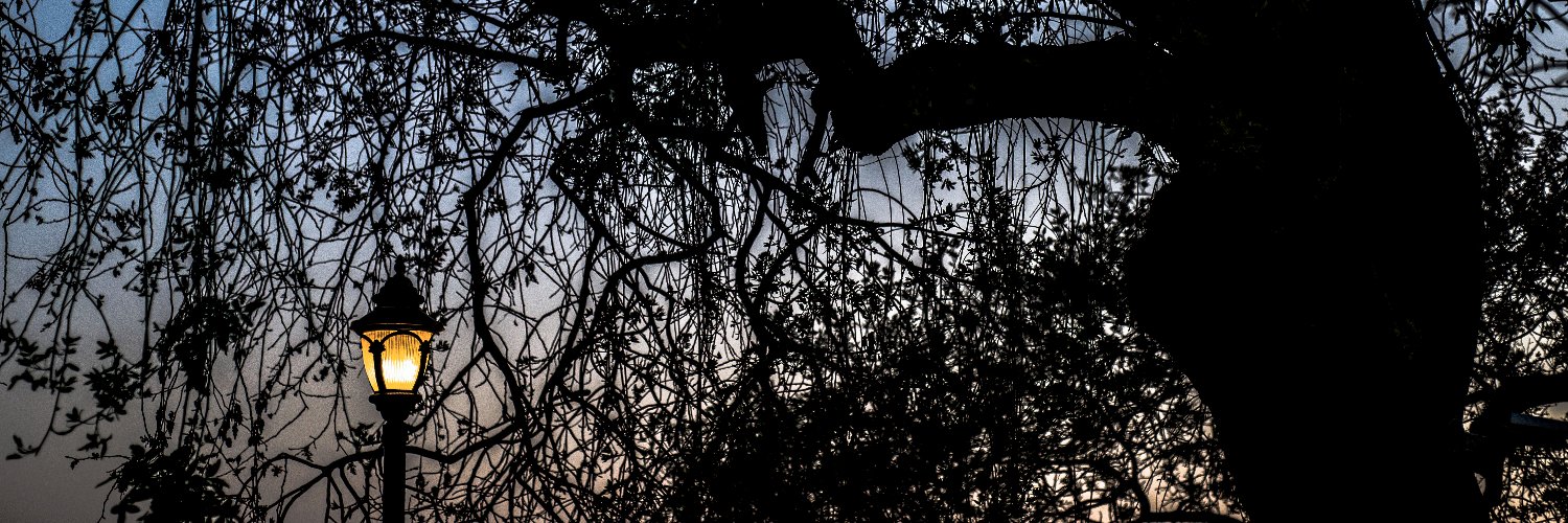 eeipc's profile banner image