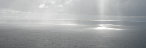 MovingP Profile Banner