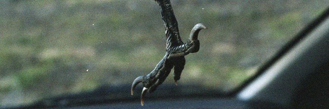 Sandra Barilli banner