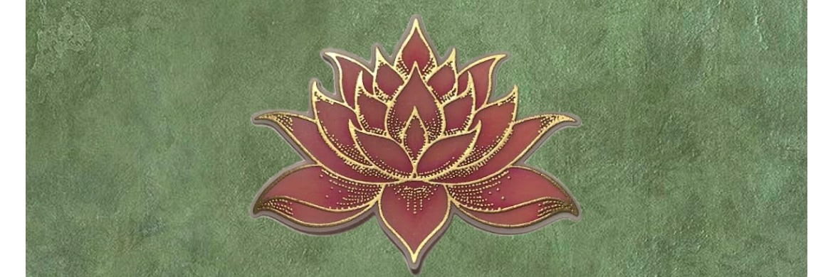 giaraujos_'s profile banner image