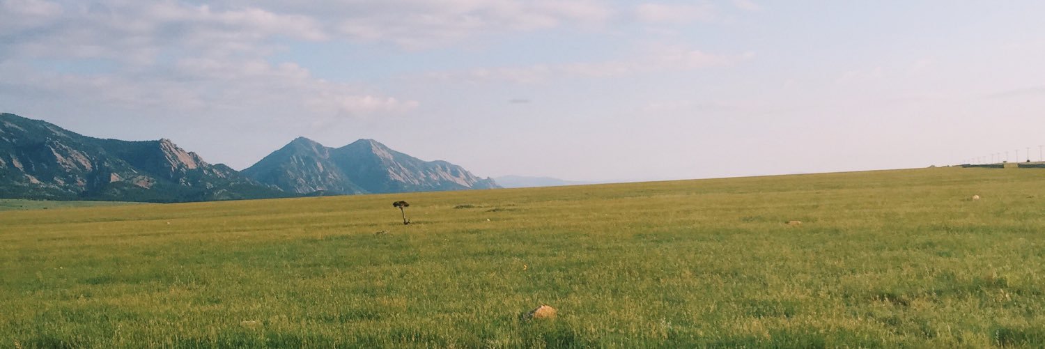 leahnvn's profile banner image
