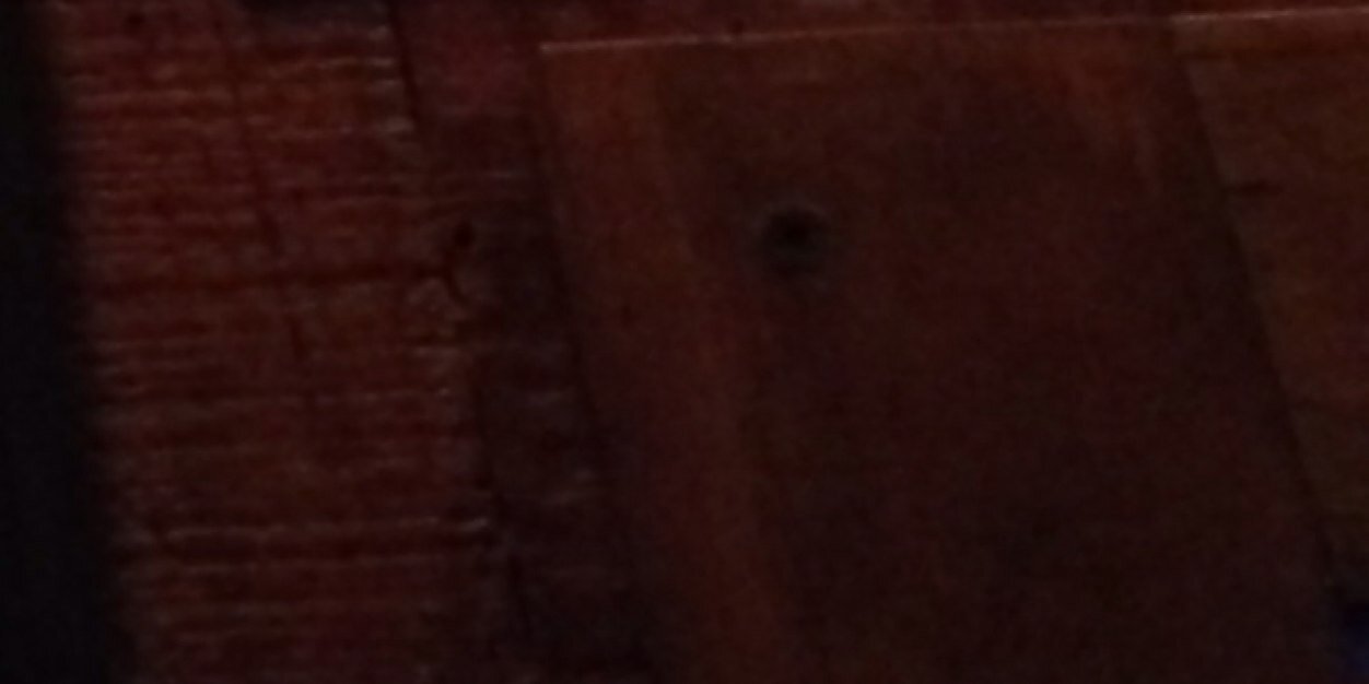 Dick's Den banner
