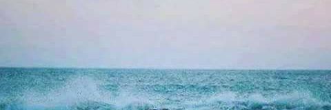 leonleonsid's profile banner image
