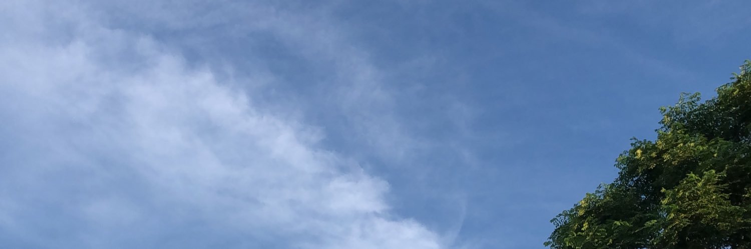 reudpsi's profile banner image