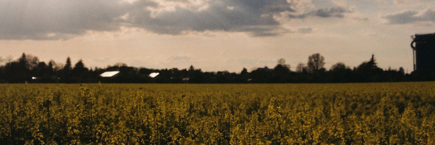 boplore's profile banner image