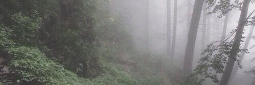 paleheartxx's profile banner image