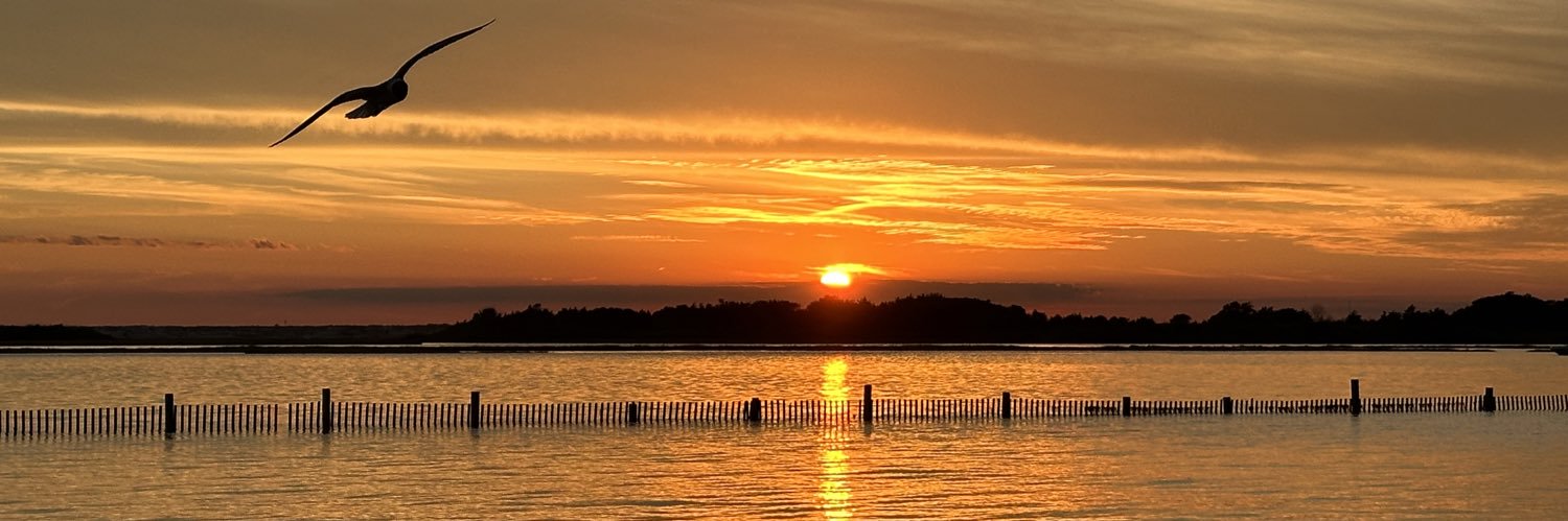 BSuralik's profile banner image