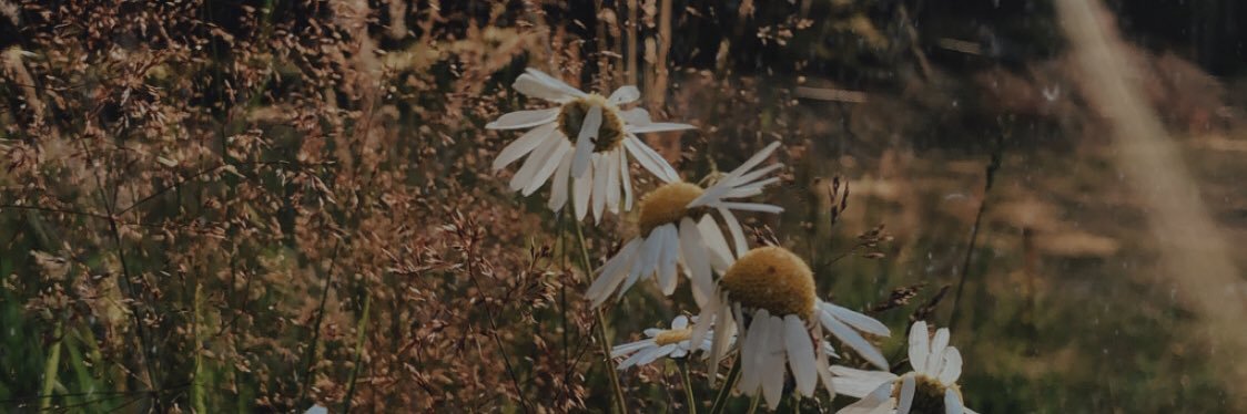 Annaloveskat's profile banner image