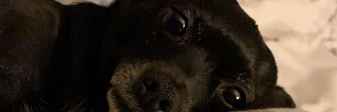 conxvan's profile banner image