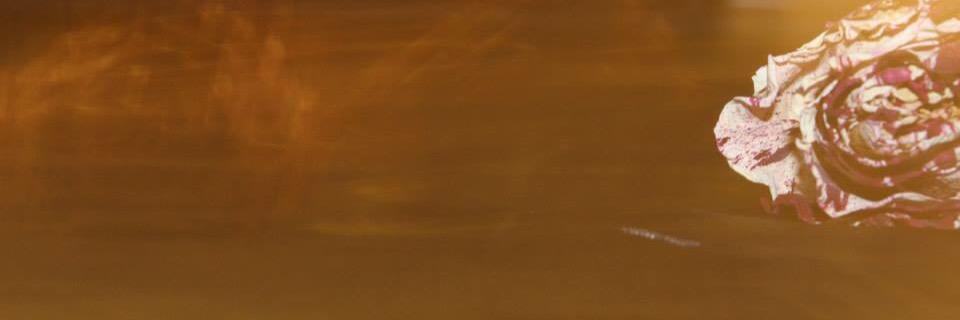 conners_24's profile banner image