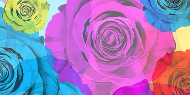 Gabrielapsic's profile banner image