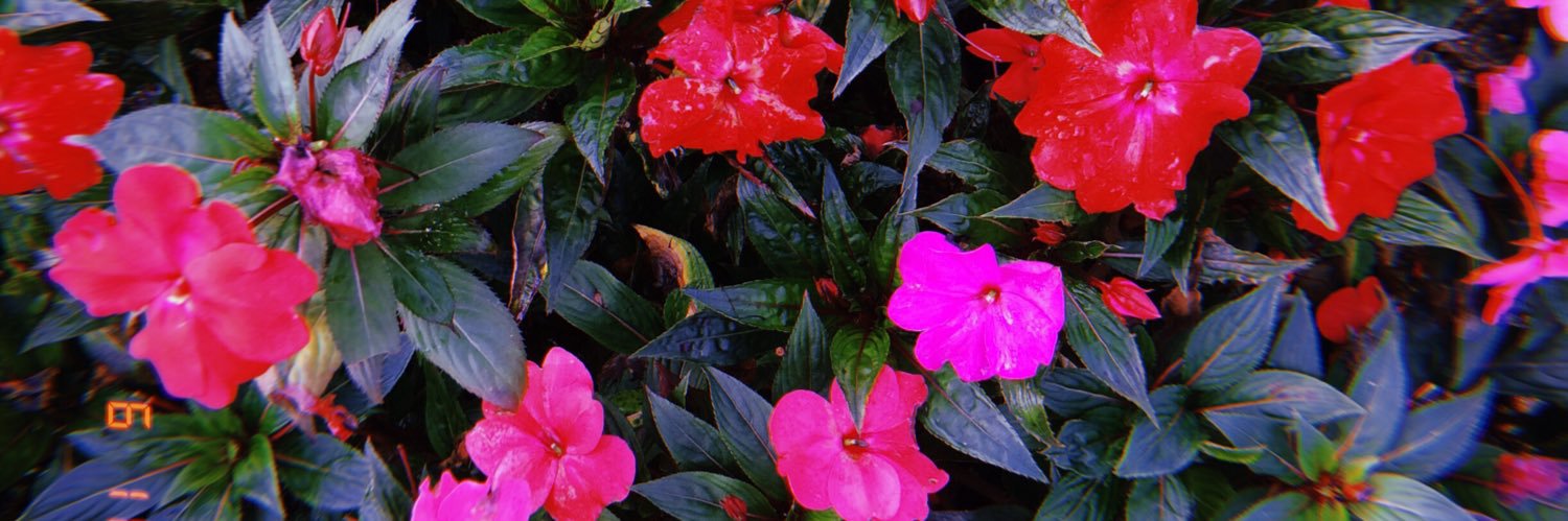 HusHakam's profile banner image