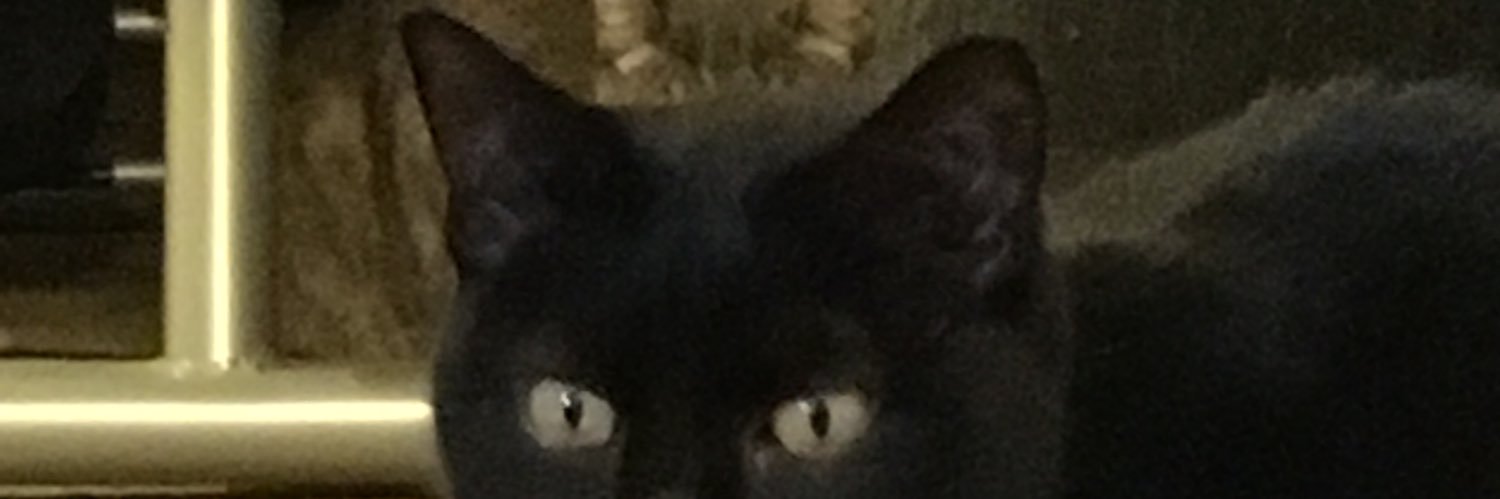 Jan Hetherington banner