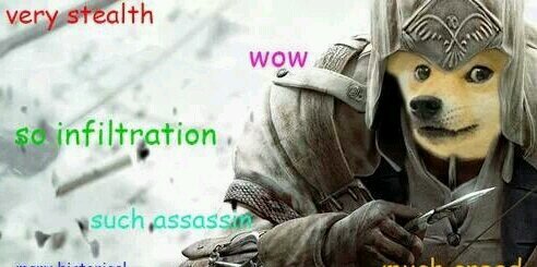 RandDoge's profile banner image