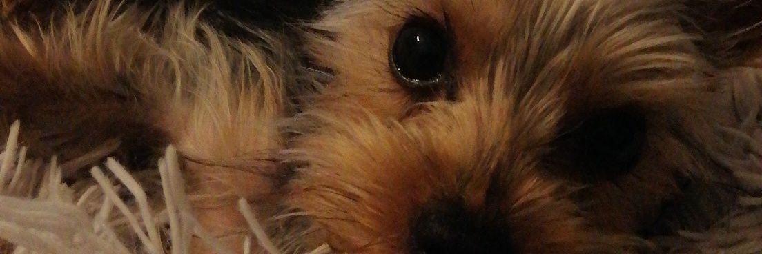 NymWin's profile banner image