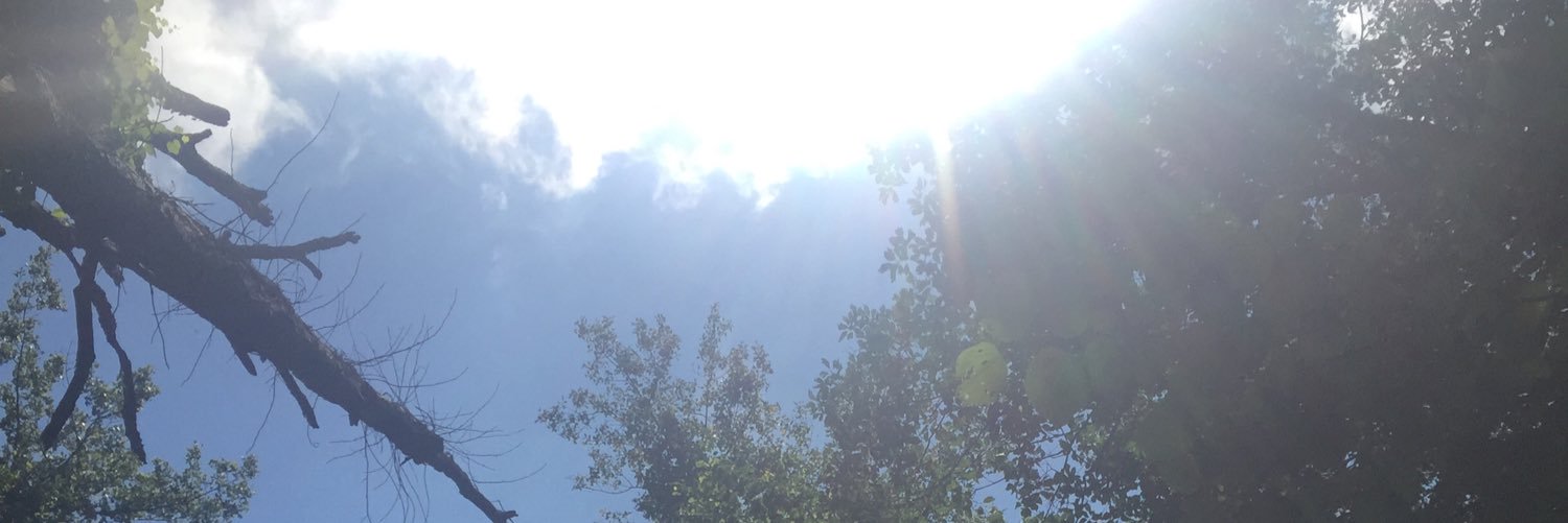 Emma_walker18's profile banner image