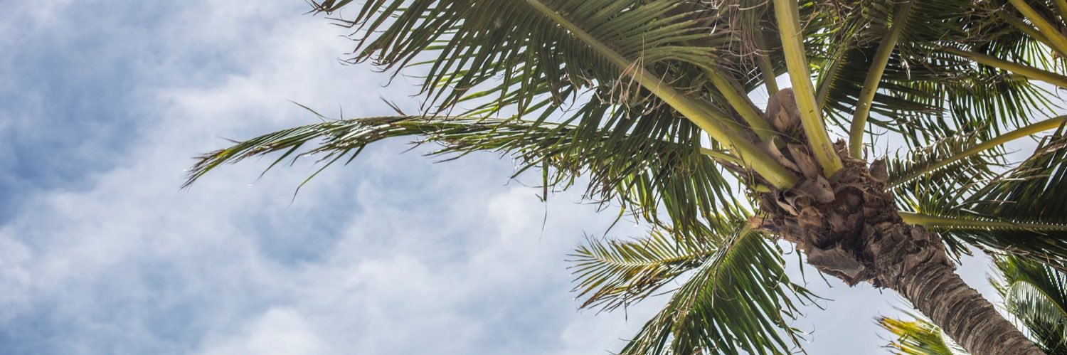 elliotwave304's profile banner image