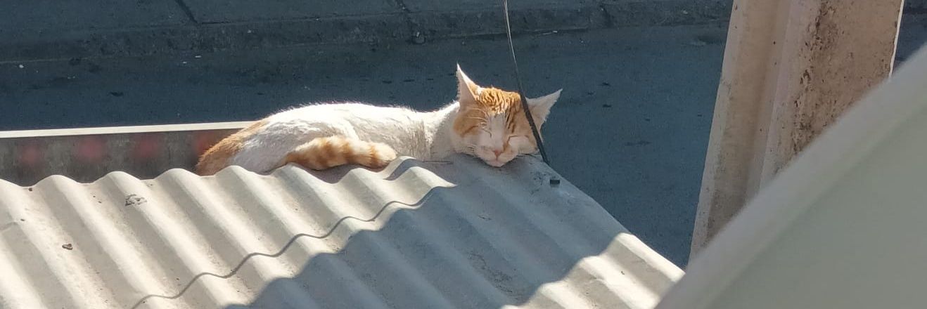 La Costra menstrual de tu mamá banner