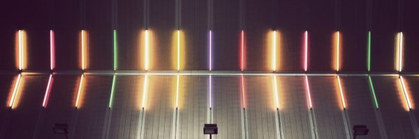 bc_fox Profile Banner