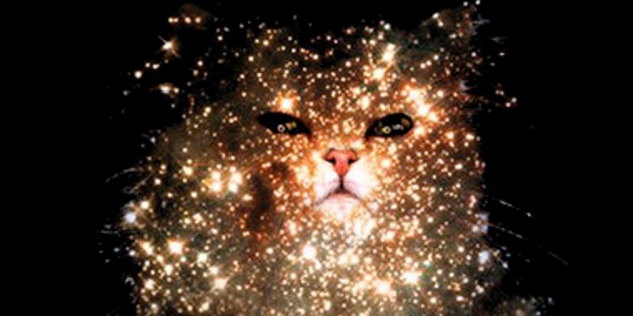CatLoverMorm's profile banner image