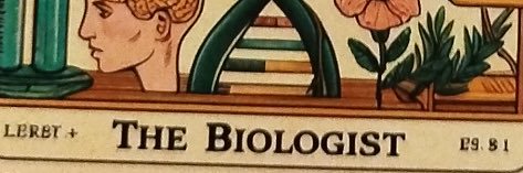 IsaGallegoR's profile banner image