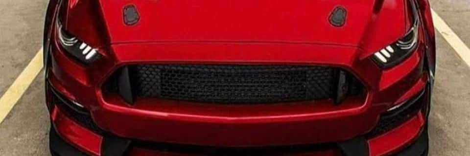 martinsmine🐐 banner