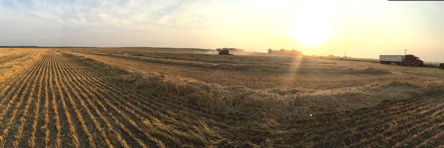 Jo-Anne Neufeld banner