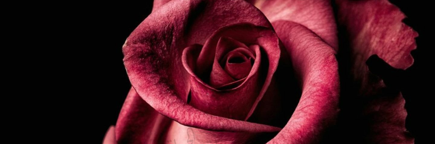 BasrahHala's profile banner image