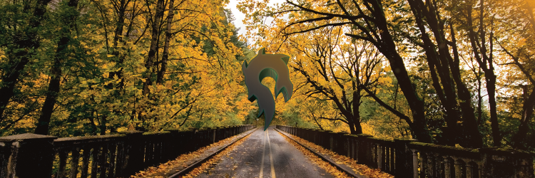 DesignsZephyr's profile banner image