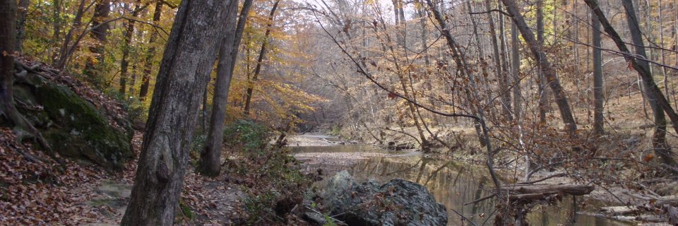 Intrant 🚑🇺🇸 banner