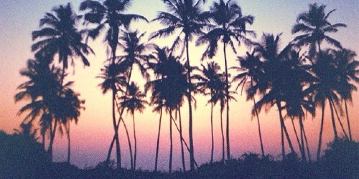 dopebxtch_avis's profile banner image