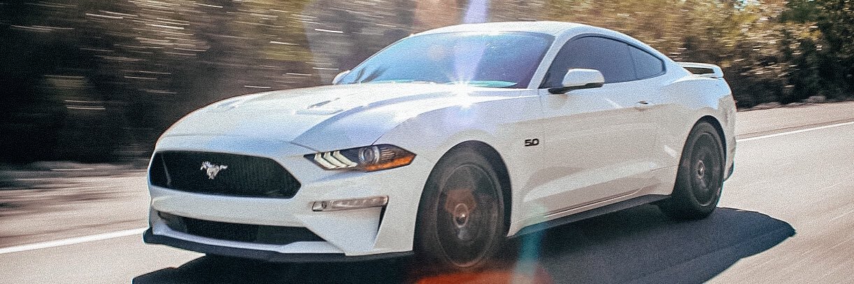 vmarino98's profile banner image