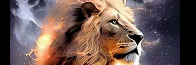 GpOrley's profile banner image