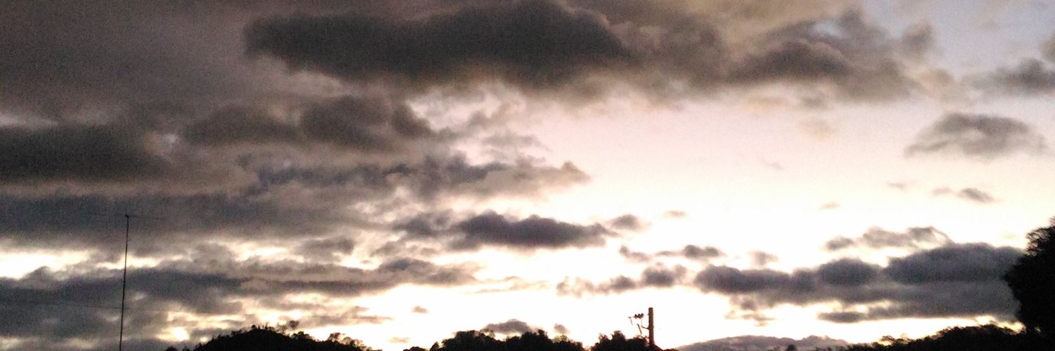 pajarjg's profile banner image