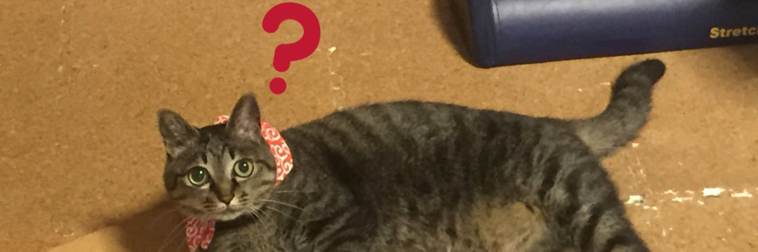 この* banner