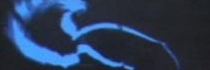 mariana carranza banner