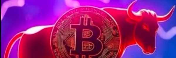 TheCryptoBull11 Profile Banner
