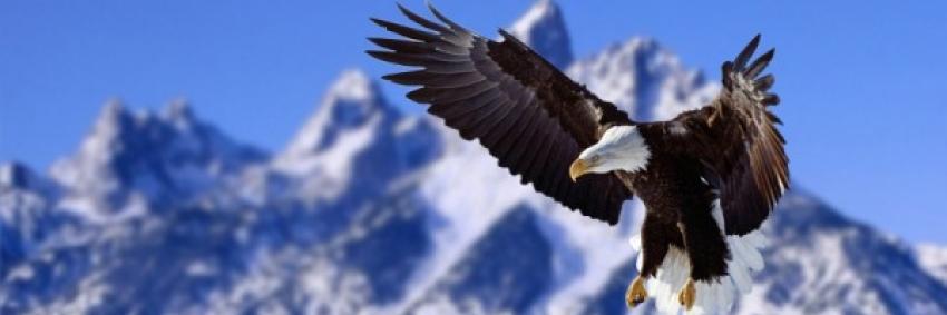 itseagletime's profile banner image