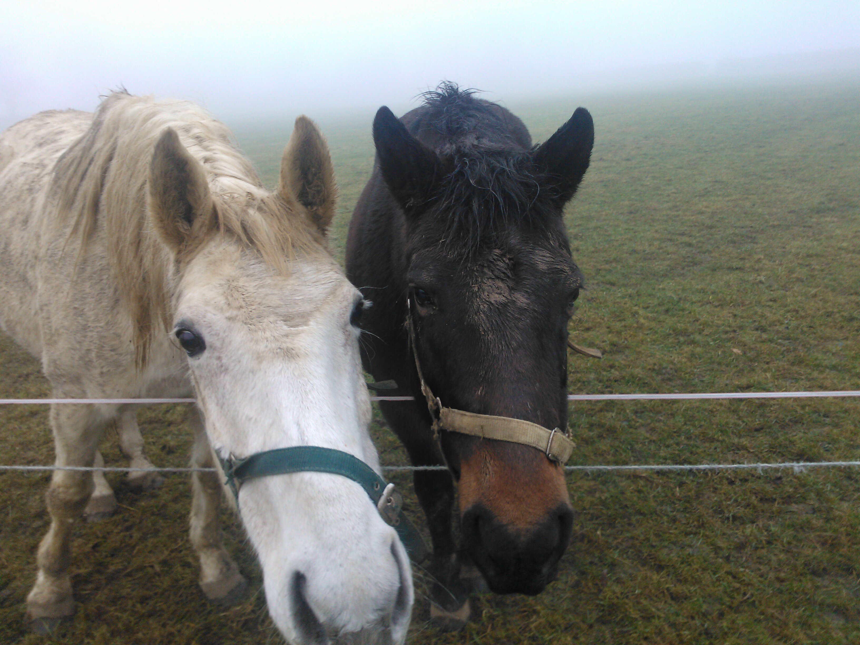 barbara tchounga banner