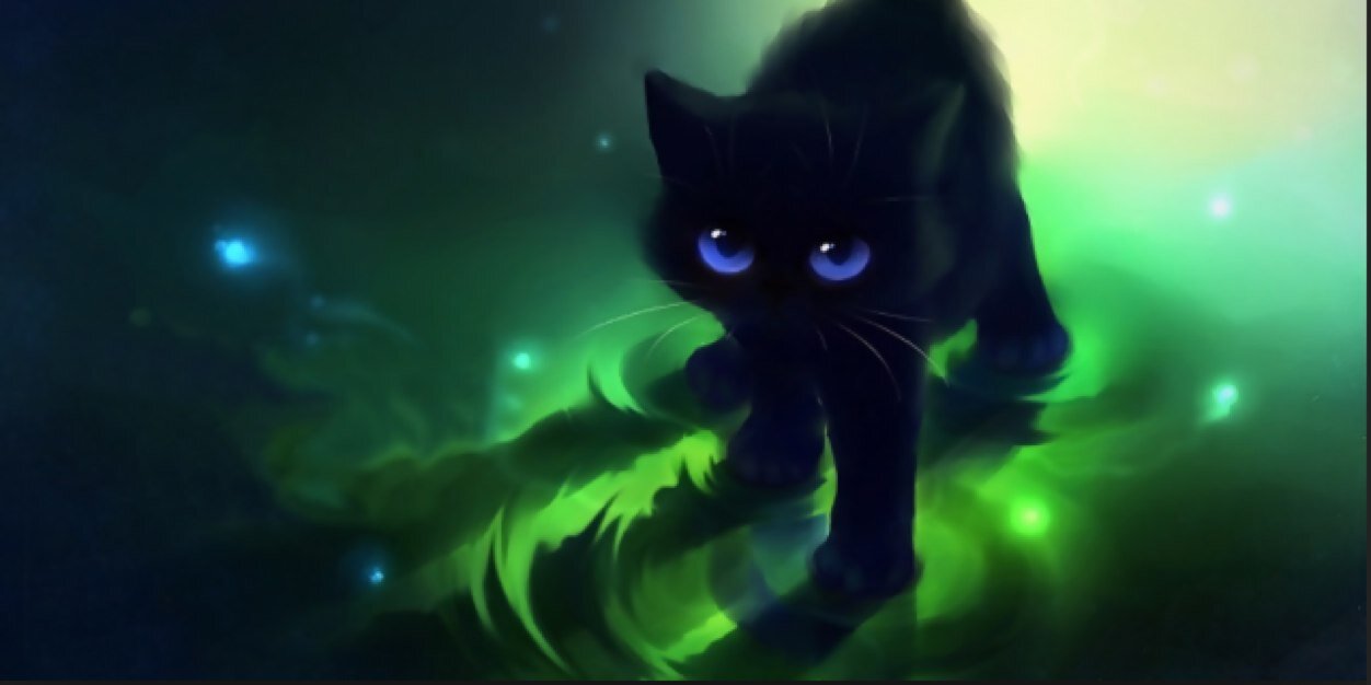 Bravecat2's profile banner image