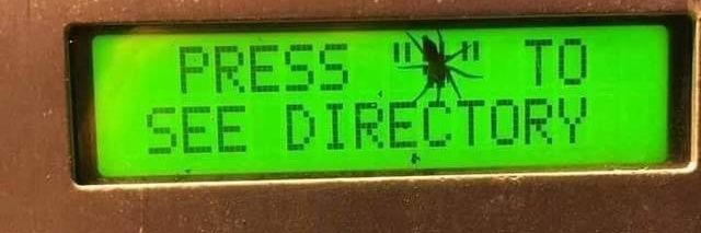 Looker1337 🏆💍🔩🪄 banner