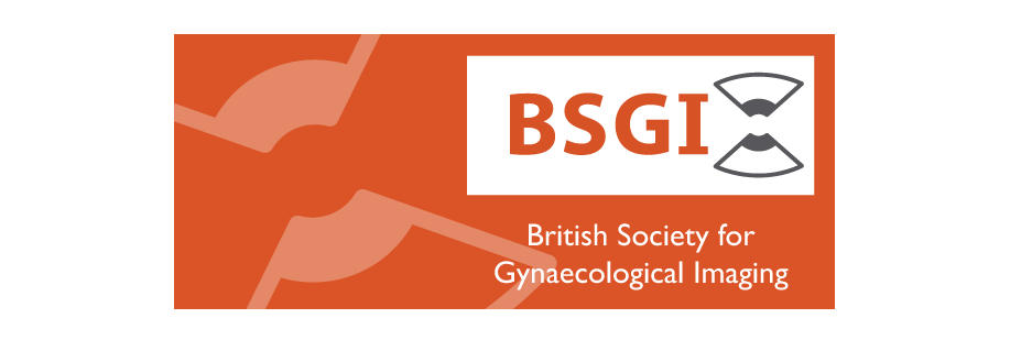 BSGI banner